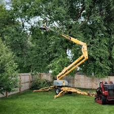 Best Commercial Tree Services  in , OK